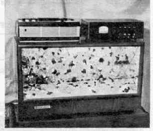  ­  